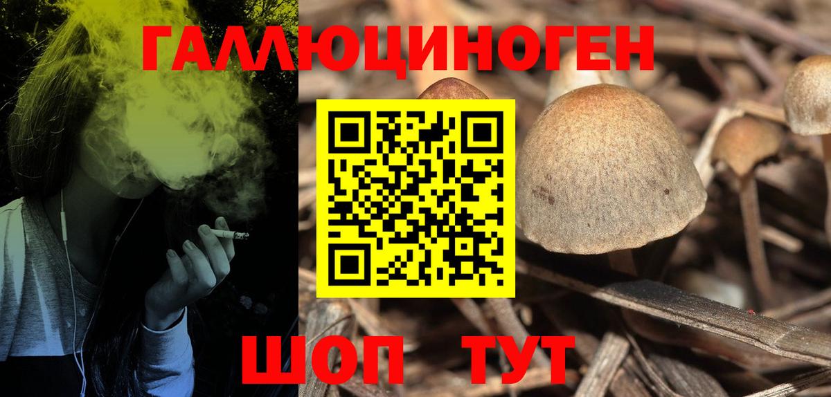 Псилоцибиновые грибы MAGIC MUSHROOMS Петрозаводск