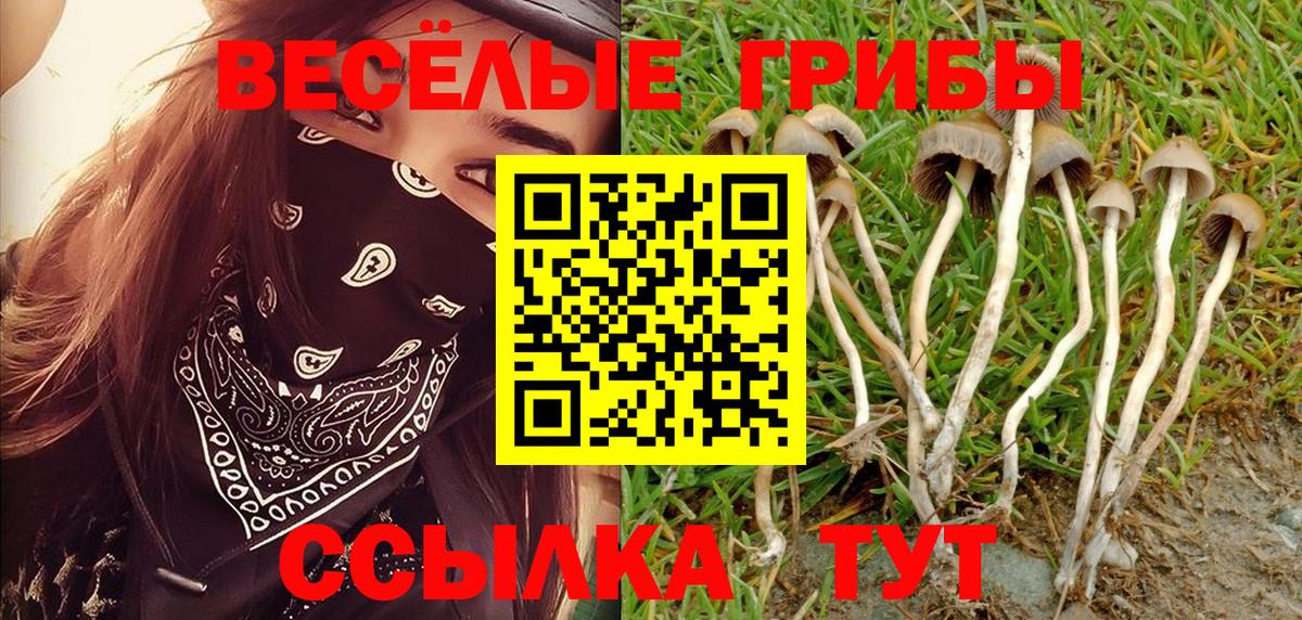 Петрозаводск  Псилоцибиновые грибы Magic Shrooms  Псилоцибиновые грибы GOLDEN TEACHER  Вход с VPN 